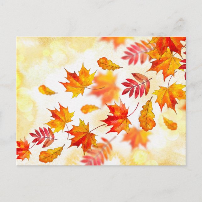 Carte postale standard (Devant)