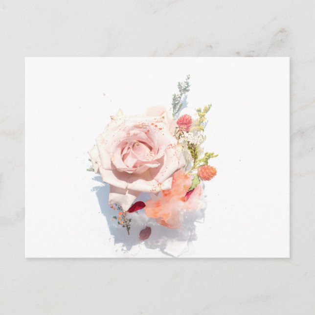 Carte postale standard (Devant)