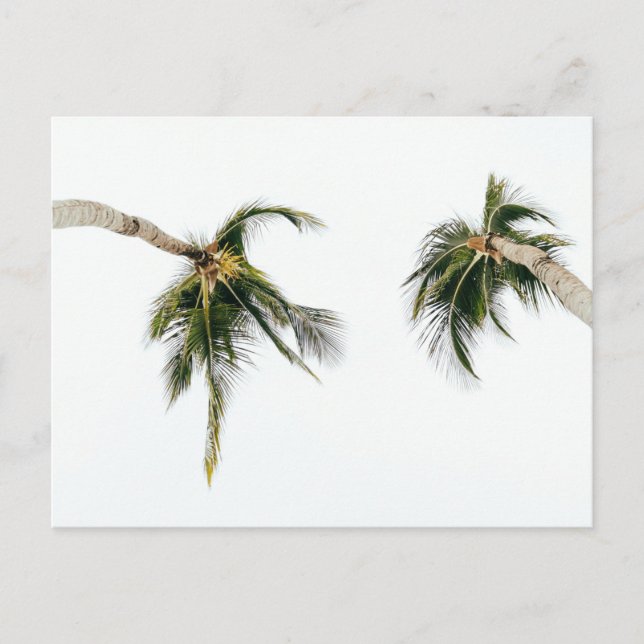 Carte postale standard (Devant)