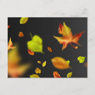 Carte postale standard