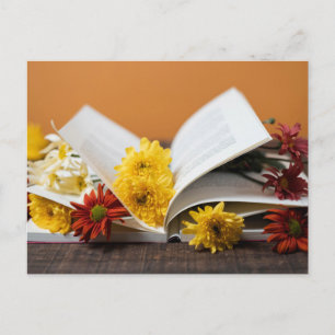 Carte postale standard
