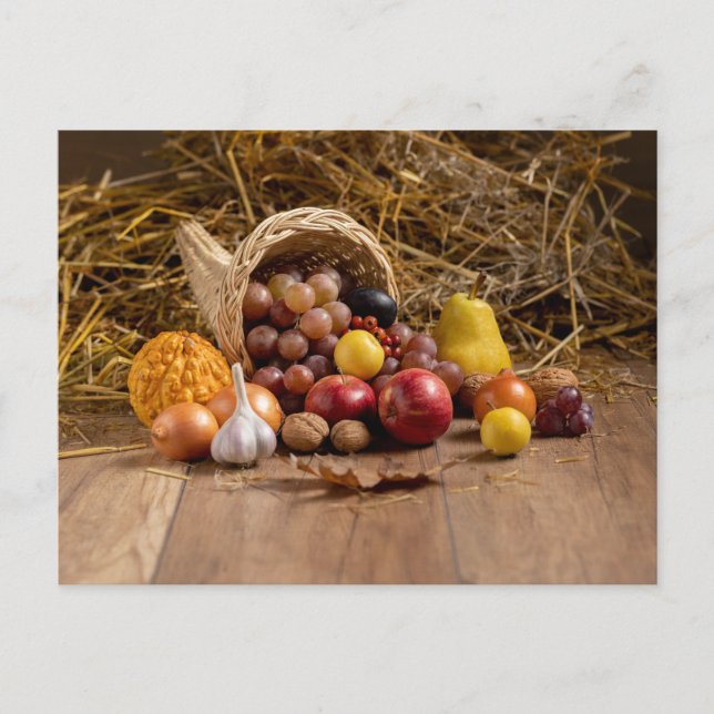 Carte postale standard (Devant)
