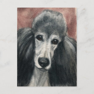 Carte postale Standard Poodle Original Chien Art