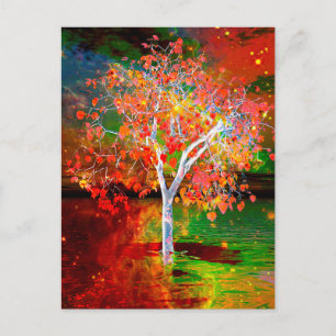 Carte postale Star Tree