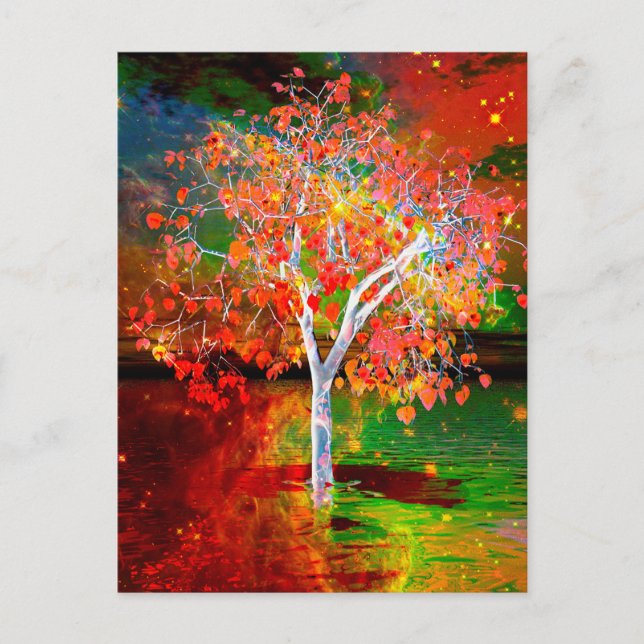 Carte postale Star Tree (Devant)