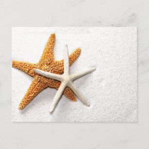 Carte postale Starfish