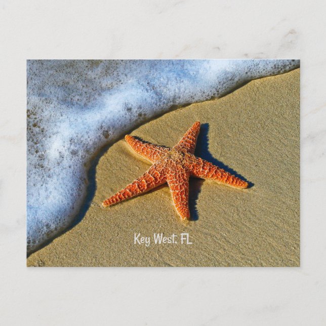 Carte Postale Starfish, à la plage de Key West, Floride, (Devant)