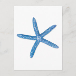 Carte Postale Starfish bleu