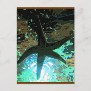 Carte Postale Starfish CB
