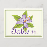 Stargazer lilas violet mariage