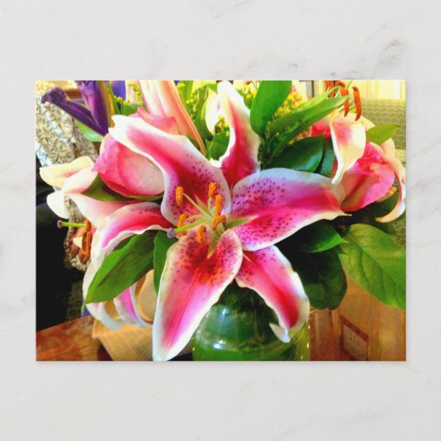 carte postale stargazer rose (Devant)