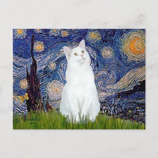 Carte Postale Starry Night - chat blanc (Devant)