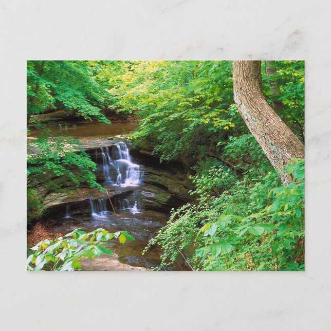 Carte Postale Starved Rock Park, Illinois (Devant)