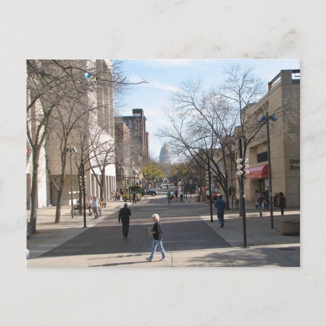 Carte Postale State Street Madison Wisconsin Library Mall (Devant)