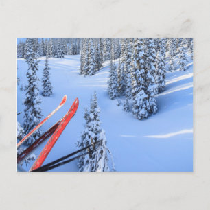 Carte Postale Station de ski de Crystal Mountain, près de Mt. Ra