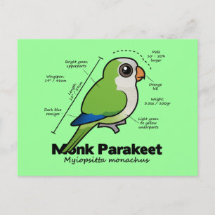 Carte Postale Statistiques sur les paréoles de moine
