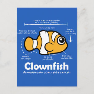 Carte Postale Statistiques sur les poissons clowns