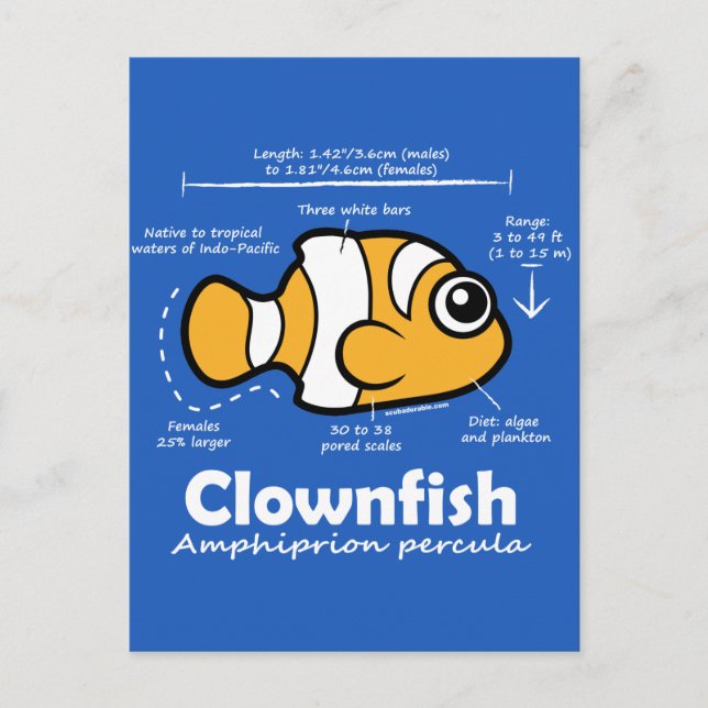 Carte Postale Statistiques sur les poissons clowns (Devant)