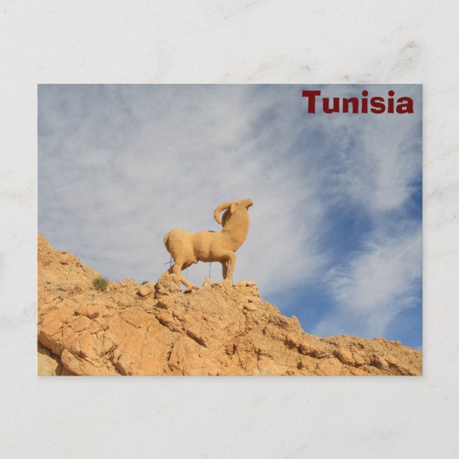 Carte Postale Statue de chèvre tunisienne (Devant)