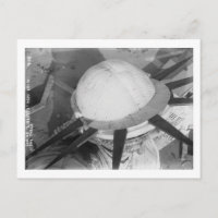 Statue de dessus de liberté de tête de cru de