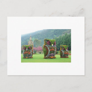 Carte Postale statues de fleur de hibou