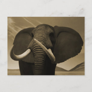 Carte Postale Stature de Majestic
