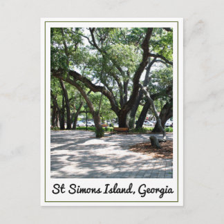 Carte Postale Ste Simons GA Wandering Oak Tree