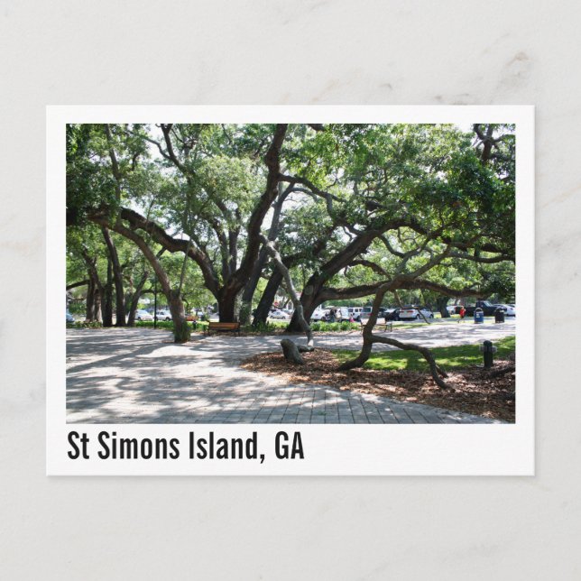 Carte Postale Ste Simons GA Wandering Oak Tree (Devant)