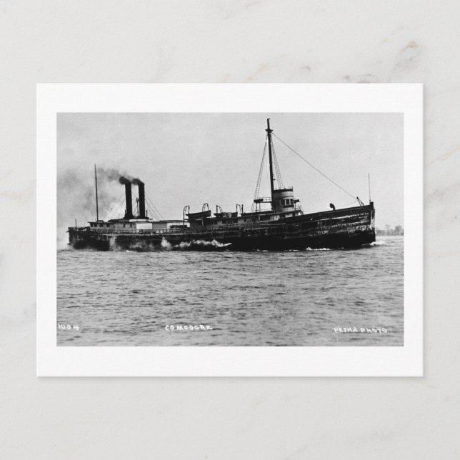Carte Postale Steamer Comodore - Louis Pesha Photo (Devant)