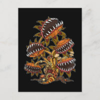 Steampunk Victorian Carnivore Plante Vénus Fly