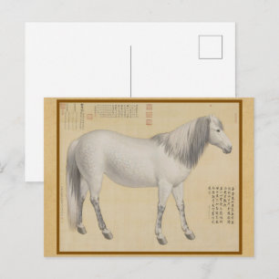 Carte Postale Steed - Piebald "As-You-Wish" Art Chinois