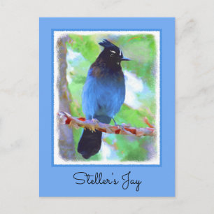 Carte Postale Steller's Jay Painting - Art original pour oiseaux