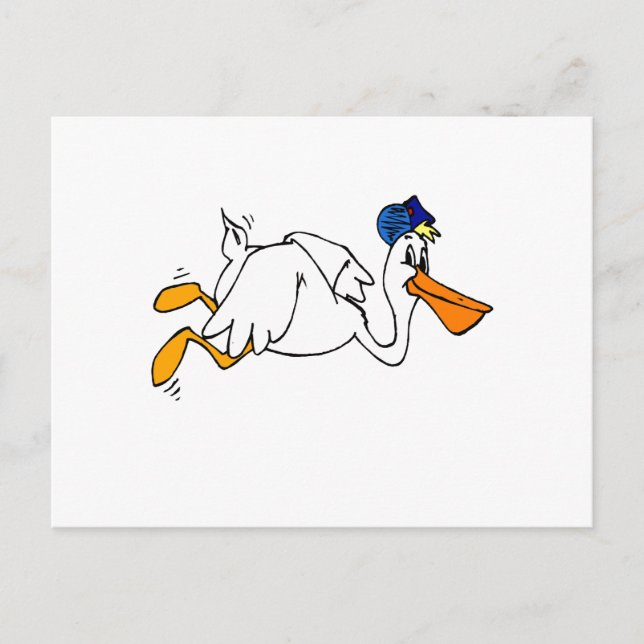 Carte Postale Steve Stork (Devant)