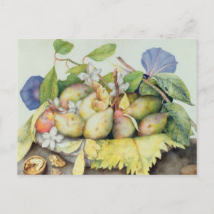 Carte Postale Still life with Plums, Walnuts et Jasmine (w/c on