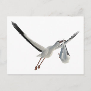Carte Postale Stores avec Bundle sur blanc
