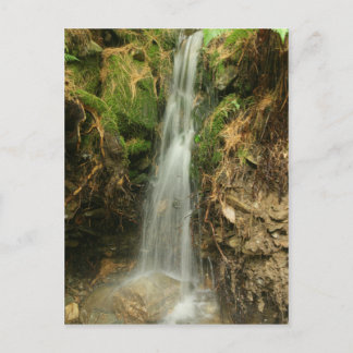 Carte postale Storm Runoff