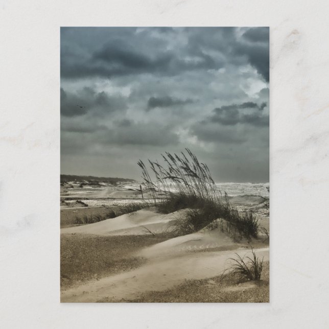 Carte Postale Stormy Anastasia (Devant)