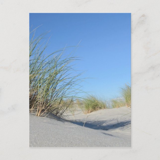 Carte Postale Strand (Devant)