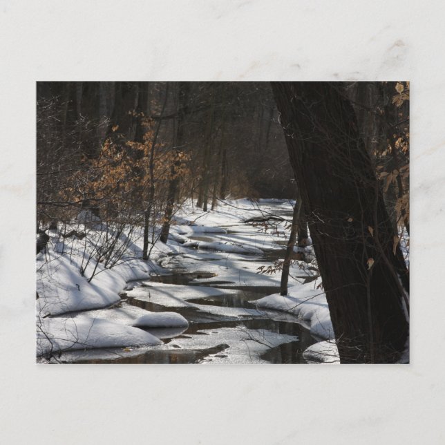 Carte postale Stream d'hiver (Devant)