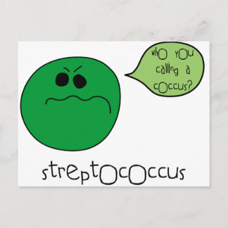 Carte Postale Streptocoque