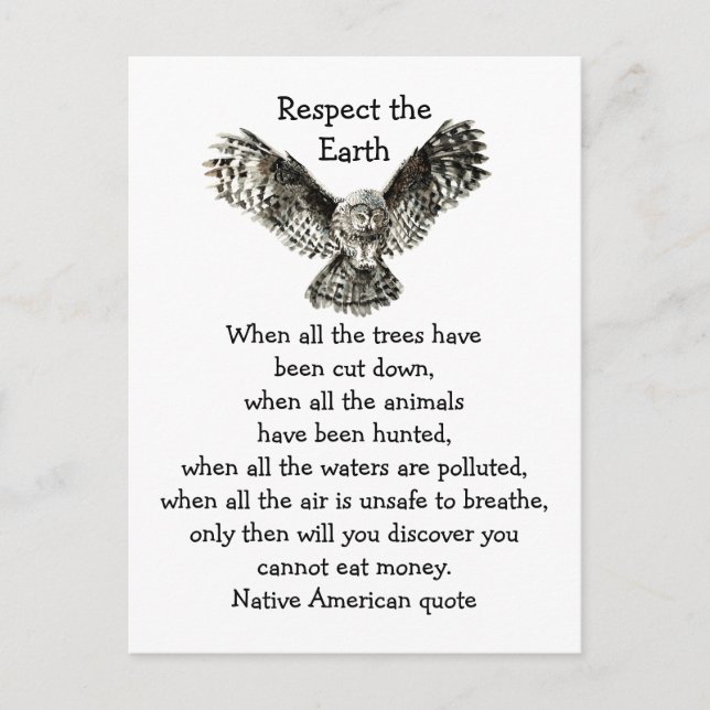 Carte Postale Striking Owl Respecter la Terre Amérindienne (Devant)