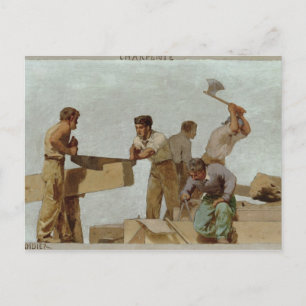 Carte Postale Structure du bois