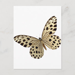 Carte Postale Stuff pour les enfants papillon