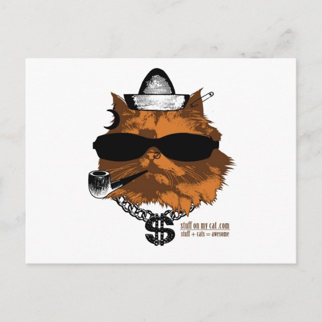 Carte Postale Stuff sur mon chat - 2 kewl (Devant)