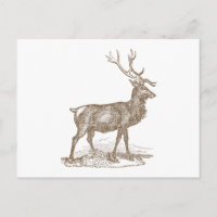 Style Buck Mule Deer Letterpress