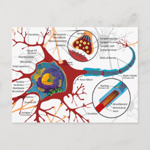 Carte Postale Style Neurones moderne