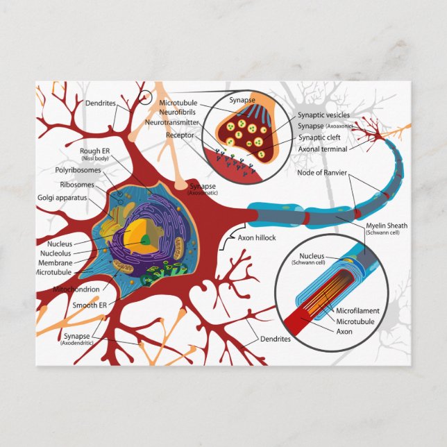 Carte Postale Style Neurones moderne (Devant)