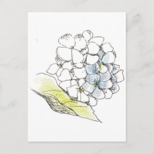 Carte Postale Stylo à fleurs Hydrangea et dessin d'encre