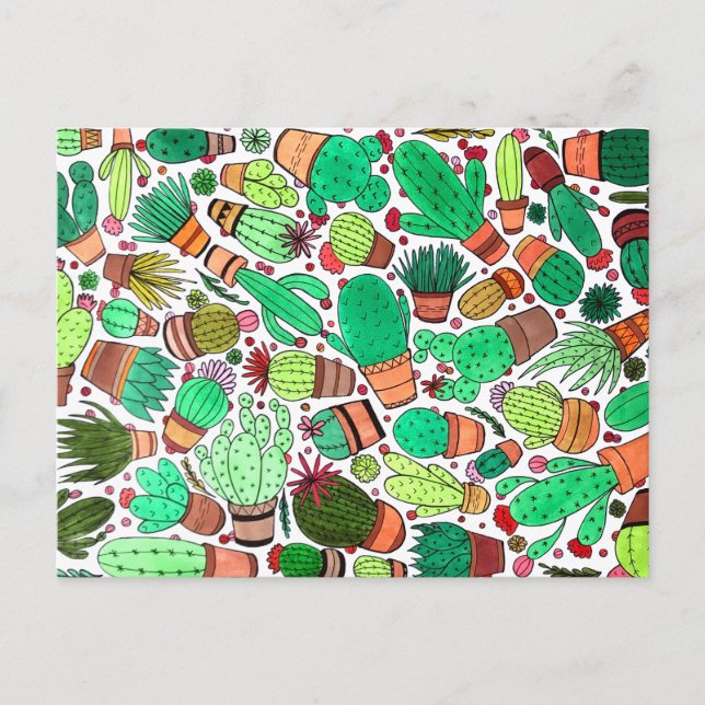 Carte Postale Succulent Cactus Pots Plante Vert Cactus Jardin (Devant)