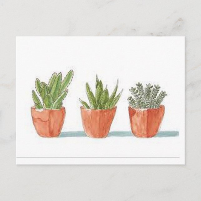 Carte postale Succulente (Devant)